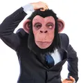 Latex Vivid Monkey Mask With Wig Funny Full Face Animal Mask Dress Up Accessory Halloween Cosplay