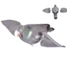 Colomba da caccia esca uccello finto realistico dipinto piccione volante ala colomba giardino