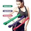 3pcs 5pcs Yoga Resistance Bands Set Latex Elastic Band Pilates Sports Crossfit Exercise Workout