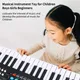 BIGFUN 37 Keys USB Electronic Organ Multifunctional Keyboard Piano Digital Music Electronic Keyboard