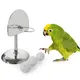 Bird Parrot Basketball Hoop Props Toy Parakeet Balls Puzzle Game Chew Play Toys Pet Bird Supplies