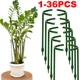 30Pcs Plastic Plant Support Pile Frame Greenhouse Arrangement Semicircle Fixed Rod Indoor Flower