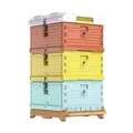 3 Layers Insulation Plastic Beehive Super Solid Langstroth Beehive 10 Frames Plastic Beehives Top
