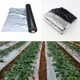 10m 0.012mm Mulch Film Silver Black Plastic Mulch Garden Ground Cover Film Frost Protection Keep