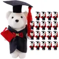 20 Pcs Graduation Dr Bear Gifts for Her Mini Flower Bouquet Decoration Accessories Cloth Plush Dolls