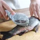 Fish Skin Brush Kitchen Tools Fish Scale with Lid Scraping Fishing Scale Brush Fish Skin Graters