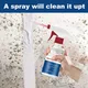 Wall Mould Removal Cleaner Strong Efficient Mould Removal Foam Cleaner For Kitchen Washroom