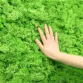 40g Artificial Green Plants Eternal Life Moss Grass Home Living Room Garden Decoration Mini