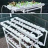 Two Layer 72 Hole Hydroponisches System /Hydroponic Grow Kit