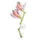 Wuli&baby Beautiful Magnolia Flower Brooches For Women Unisex 2-color Enamel Plants Party Office
