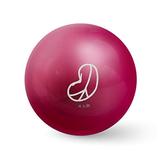 Bean Products Soft Vinyl Weighted Balls for Yoga Practice 4 lbs Excercise Balls Perfect for Adults 1 Pcs