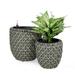 Self-Watering Wicker Planter 2-Pack - 2-Pack - 11.56 - Enhance your garden with our eco-friendly wicker planters!