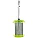 Birds Choice 6.5 Color Pop Collection Small Sunflower Seed Feeder Green and Lavender