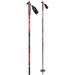 BC Cross Country Ski Poles 2022 140