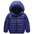 Kids Unisex Hoodie Jacket Outerwear Kids Puffer Jacket Solid Color Long Sleeve Zipper Coat Outdoor Adorable Daily Royal blue cotton jacket black cotton coat Orange cotton jacket Spring Fall 7-13 Years