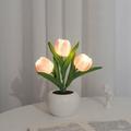Tulip Lamp Lights Desk Lamp Led Simulation Tulip Night Light with Vase Table Lamp Ornaments for Home Living Room Desktop Decor for Home Decor Pink