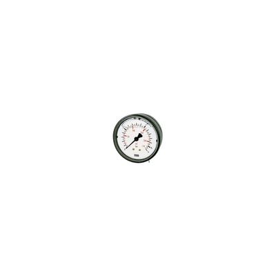 Glyzerinmano., Kunststoff, g 1/4 hinten zentr., -1/+0,6 bar, ø 63 - Riegler Image