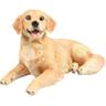 Cane Golden Retriever in resina Sdraiato