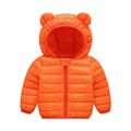 Stamzod Boys Girls Hooded Down Jacket Winter Warm Coat Clearance Kids Jacket Puffer Solid Color With Ear Hoodie Down Coats Fashion Long Sleeved Baby Outerwear With Zipper 12M-5Y