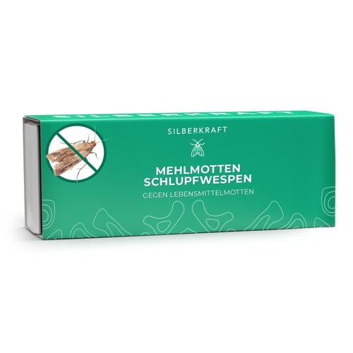 Mehlmottenschlupfwespen - Schlupfwespen gegen Mehlmotten: 1 x Mehlmottenschlupfwespen Image