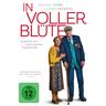 In Voller Blüte (DVD)