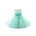 Kids Girl Princess Dresses Sleeveless Round Neck Ruffled Mesh Lace Tulle Tutu High Waist Dress