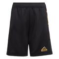 adidas Kids Tiro Summer Shorts Kids