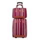 2-Piece Suitcase Nylon Luggage Fashion Stripe Large Capacity Luggage Sets Anti-Theft Combination Lock Suitcases with Wheels (Purple)