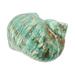 Plant Decor Decoration for Home Forniture Nautilus Shell Sculpture Plants Conch Green Natural