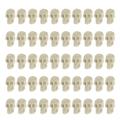 50 Pcs DIY Skull Halloween Decoration Small Skulls Party Pack Decorations Human Anatomy Model Miniature Skeletons Plastic