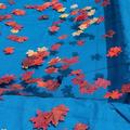 In The Swim 25 x 40 Rectangle Leaf Net Cover for Inground Swimming Pools - Removes Leaves Sticks and Small Debris From Your Winter Cover CO92540R