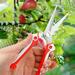 Fruit Tree Pruner Clearance Fruit Tree Scissors Pruning Scissors Pruning Branches Powerful Pruning Scissors Gardening Scissors Flower Garden Fruit Picking Scissors