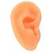 Simulation Soft Silicone Professional Ear Display Mould For Hearing Ai Ear Model