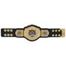 WWE World Champions Mini Replica Title Belt