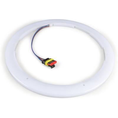 Wet Sounds LED KIT 10-RGB ZR For Zero 10" Subwoofer
