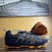 Adidas Shoes | Adidas Galaxy Trail Traxion Men Size 14 Grey Orange Running Shoes Style Ba8641 | Color: Orange | Size: 14