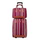 Carry On Luggage 2-Piece Suitcase Nylon Luggage Fashion Stripe Large Capacity Luggage Sets Anti-Theft Combination Lock Suitcases with Wheels (Purple)