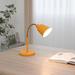 Ebern Designs Industrial Matte Orange Desk Lamp - Flexible Gooseneck & Brass Accents | Wayfair AA8BAC468E8C409F981653532AEAF4E5
