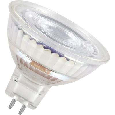 Led Lampe star MR16 6,5W 12V GU5.3 - Osram Image