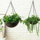 marioyuzhang Creative Flowerpot Indoor Hanging Flower Pots Outdoor Wrought Iron Hanging Basket Flower Pots Durable Wrought Iron Flower Pots Frosted Black