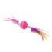 Pet Cat Toy Cute Paw Print Feather Bell Ball Interactive Toys (Rose Red)