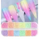 Poudre pailletée holographique pour manucure et pédicure 12 grilles fine pour nail art Aurora