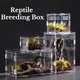 Terrarium de Reptiles en Acrylique Transparent Boîte d'Élevage pour Habitat d'Araignée et Scorpion