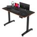 Height Adjustable Electric Standing Desk, 48 x 24 Inches Sit Stand up Desk, Memory Computer Home Office Desk