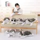 4 Styles 20-60cm Cat Plush Toys Chi Chi's Cat Stuffed Doll Soft Animal Dolls Cheese Cat Stuffed Toys