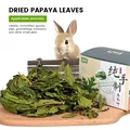 30g Rabbit Molar Papaya Leaf Hamsters Chinchillas Guinea Pig Food Snacks Cleaning Teeth Treat Molar