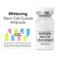 Whitening Stem Cell Culture Ampoule Skin Booster Serum MTS Solution Essence for Elasticity