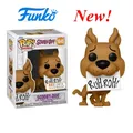 2024 Funko Pop Animation Scooby #1045 Doo RUH-ROH Exclusivo Random Special Edition Vinyl Action