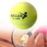 Palline da Tennis High Bounce Training Tennis per cani Bite 6.4CM gomma elastica Tennis Training