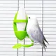 1Pc Conure Feeder Love Birds Plastic Parrot Pet Fruit Vegetable Holder Macaws Finches Food Container